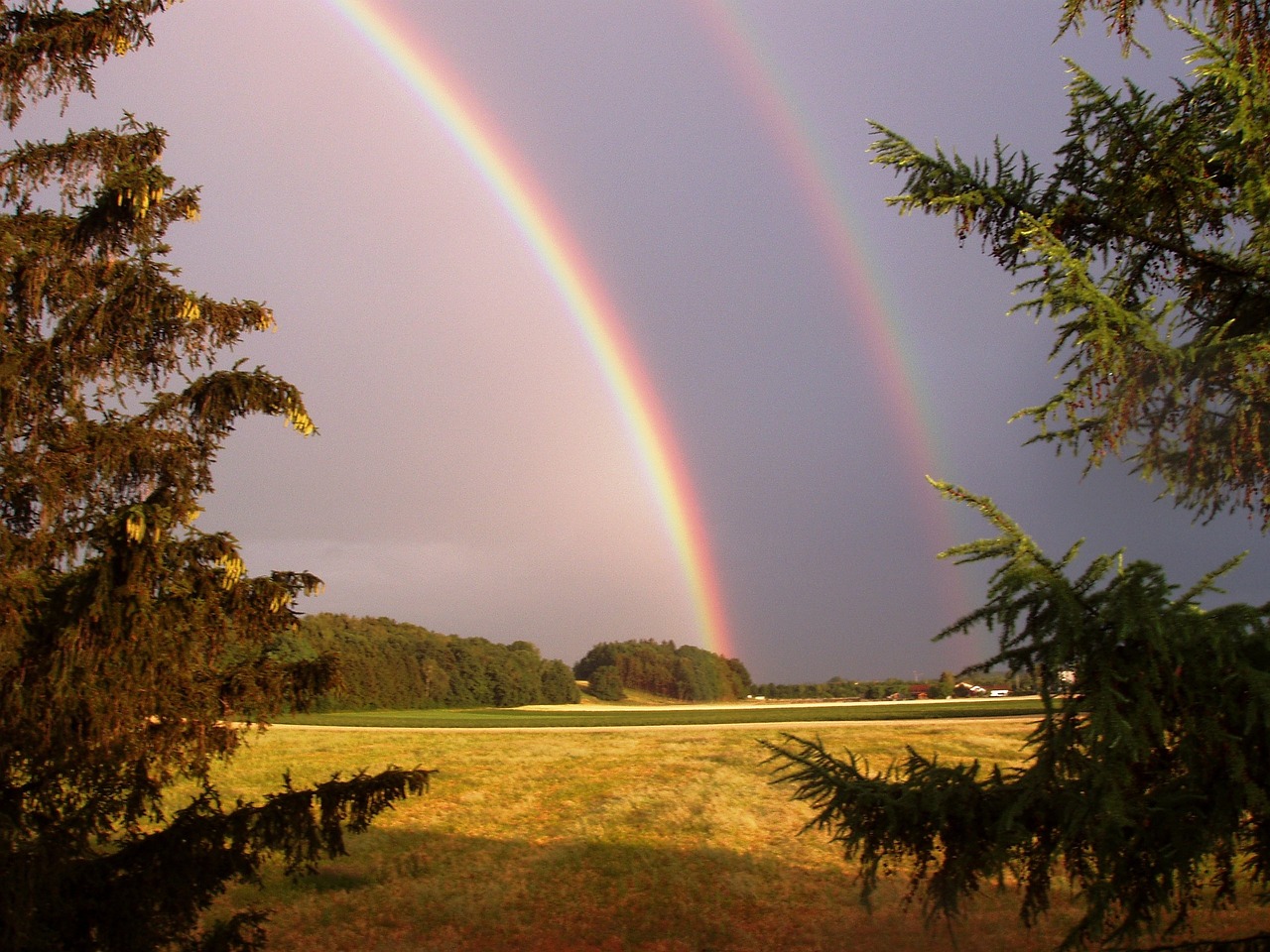 Designing a Beautiful Rainbow Garden